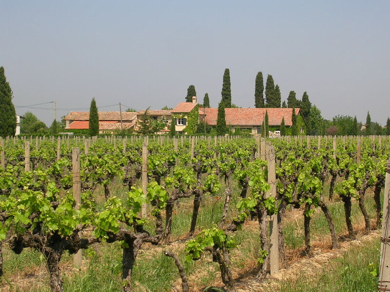 Domaine de la Camarette