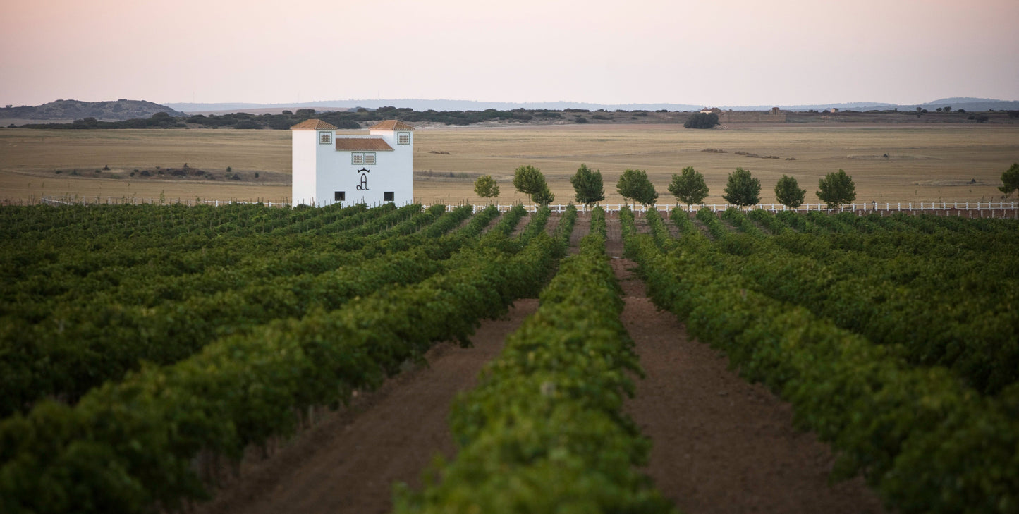 Siefert vine