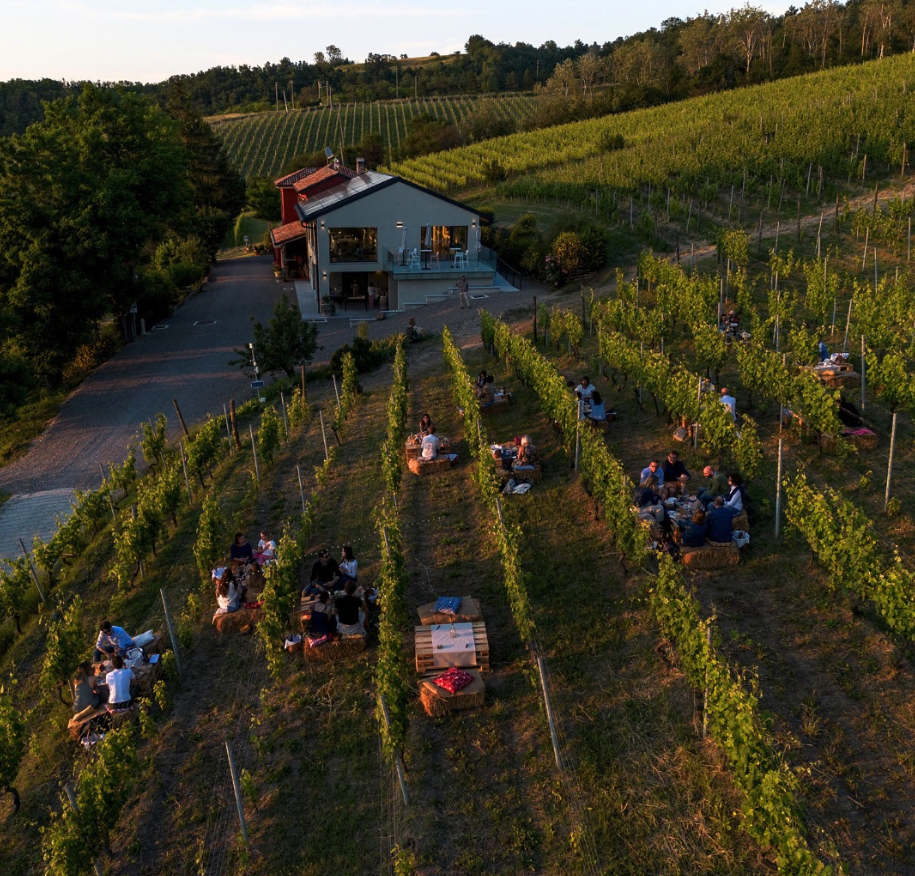 Cantine Volpi