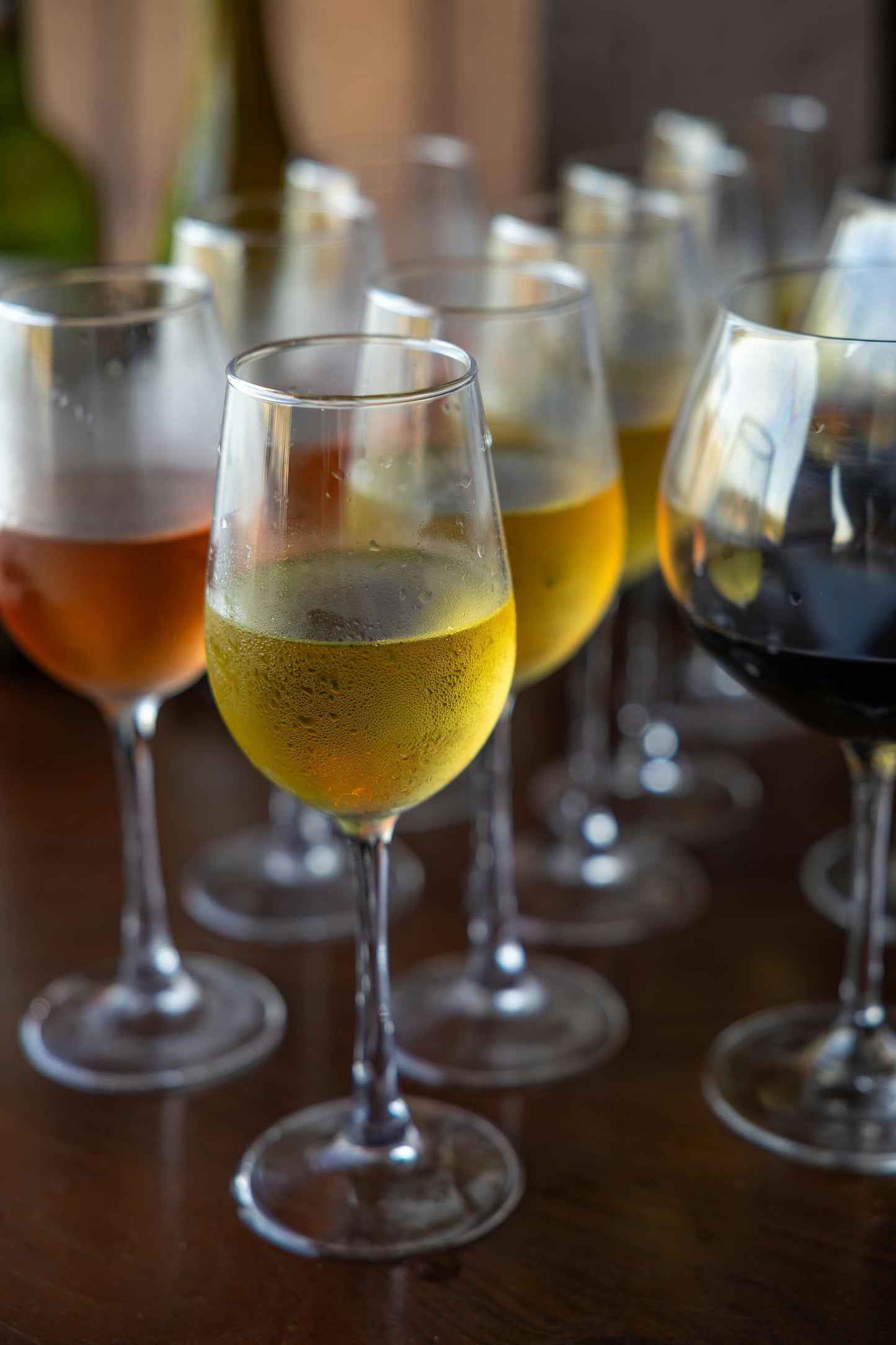 Siefert vine